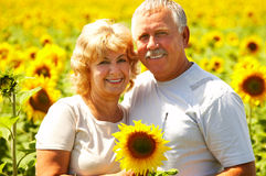 Finding The Best Family Dental Practices In West Haven And Milford Ct!