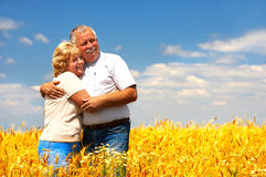 Excessive Insurance Policies For Accidental Cases