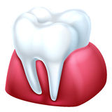 Internet And Yellow Pages Help To Check The Background Of The Dental Insurance Company