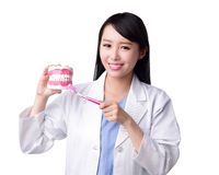 Stem Cell Research And Tissue Engineering A Boon For Dental Tissue Regeneration