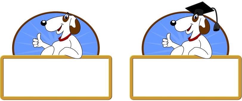 Indoor Freestanding Dog Gates