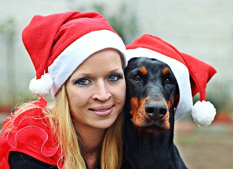 How To Live With Your Older Dog