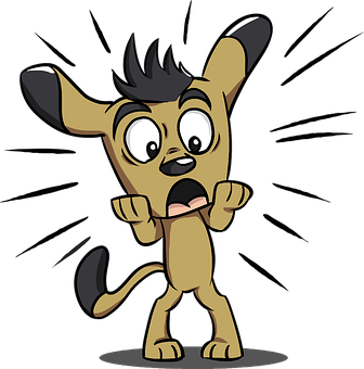 Beliefs: why I don't believe in dogmas?