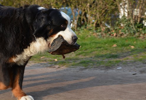 Tired Of Looking Like You Have The Jowls Of A Bull Dog?