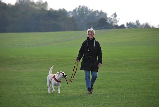 Why You Must Hire Dog Walkers/dog Sitters?