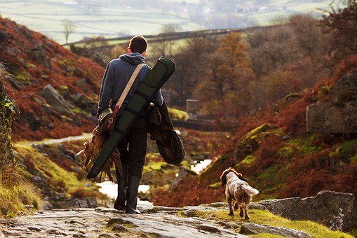 The Benefits Of Training Your Dog