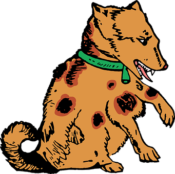 How Is Editing Like Grooming a Dog?