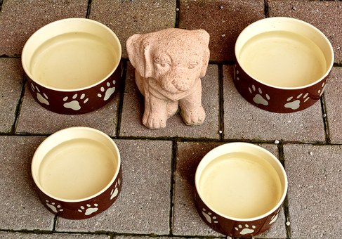 Dog Litter Box