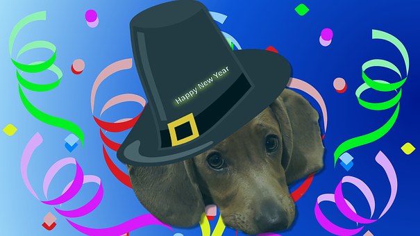 Five Reasons to Pick Up After Your Dog, Every Single Time