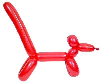 Dog Diarrhea- What is the Cause?
