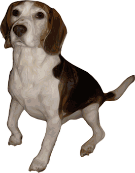 The Best Solution to Control Barking of Your Dog
