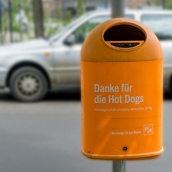 The Easy Way To Socialize A Dog