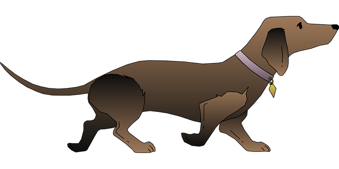 Facts To Know About Properly Grooming Your Dog