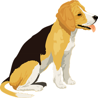 Stop Dog Biting Right Away Before Your Dog Gravely Injures Someone