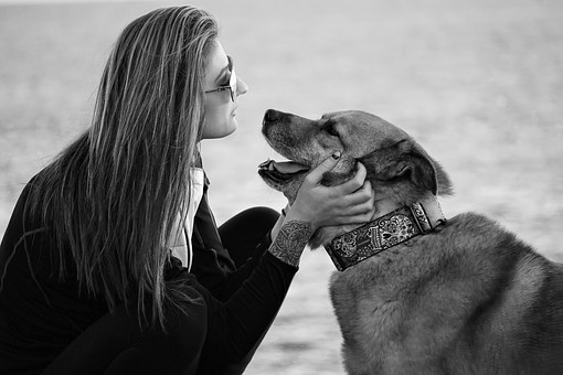 Seven Common Household Items That Are Poisonous To Dogs