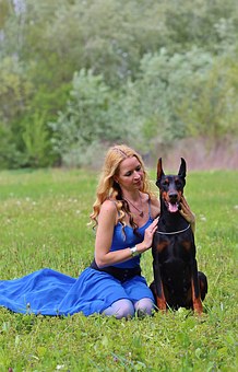 Compare Dog Insurance