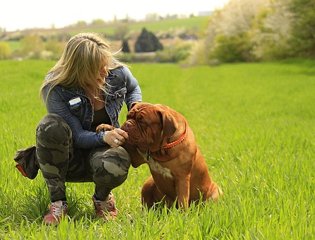 Dog Bite Settlement - An Ounce Of Prevention Is Worth A Pound Of Bite