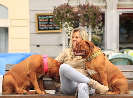 Measure Your Dog For A Harness In 5 Easy Steps