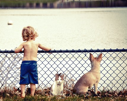 Dog Repellent Spray