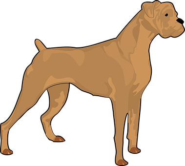 Find Professional Dog Training At K9 Korral