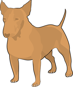 Why You Need To Train Your Dog