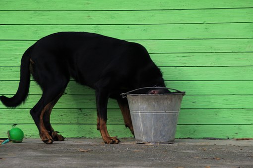 What To Sell From Your Hot Dog Stand To Generate Maximum Cash
