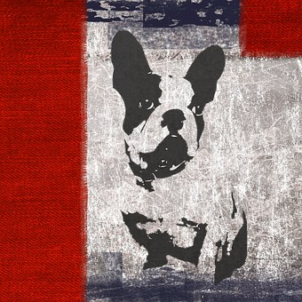 Unruly Dog? Have We Got Some Advice For You!