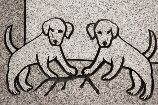 Why should I buy dogs online?
