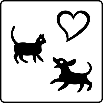 Believe You Understand Which Dogs Can Rip Their Acls?