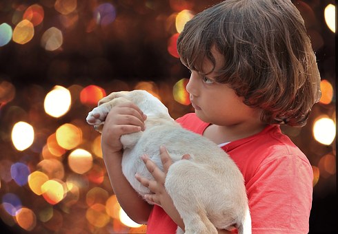 Lazy Dog Gallery Considered The Leading Choice Online For Handmade Scarves For Women