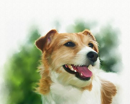 The Most Effective Way Doggy Develop Brazil Brazilian Bikinis?