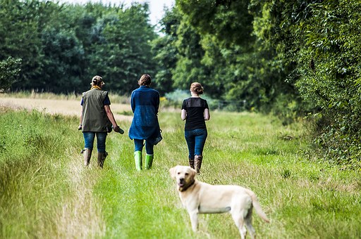 The Needs Of Dogs