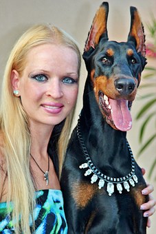 Would A Raw Diet Be Best For My Dog?