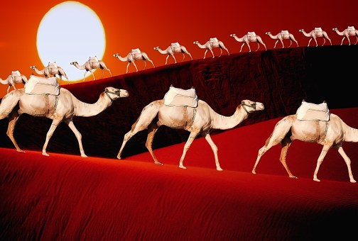 Two days Alexandria and Cairo tour from Safaga port