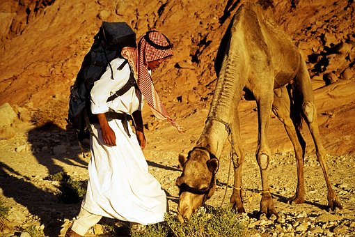 Jerusalem Tour Israel From Sharm Egypt By Bus