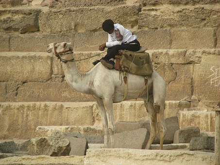 Cairo & Alexandria Overnight Travel Packages From Luxor