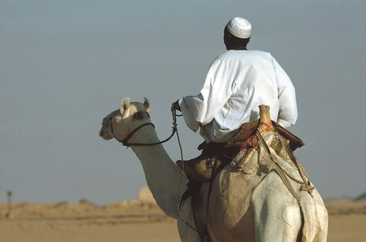 Alexandria Day Tour & Excursions To Giza Pyramids, Sphinx & Egyptian Museum