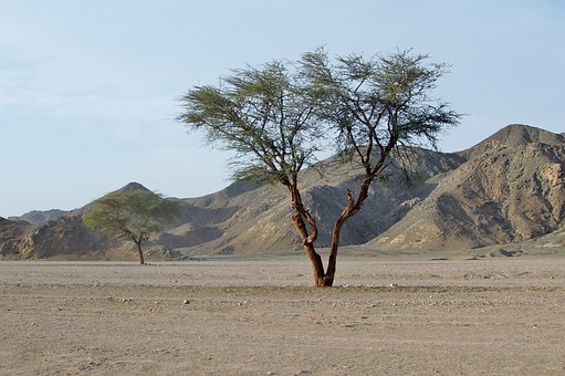 Two days Cairo and Luxor tour from El Quseir by flight