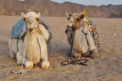 Top 10 Cultural Holiday Destinations