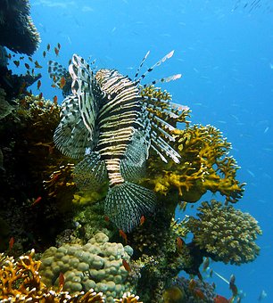 History Of Sharm El Sheikh Holidays