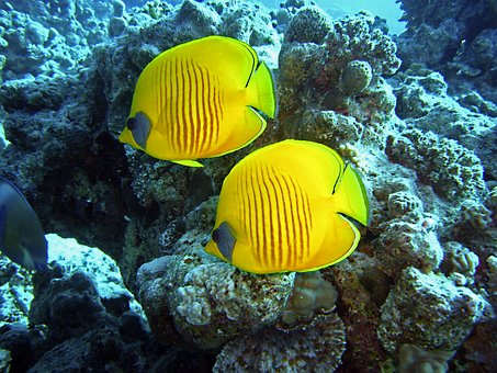 Legend of Egypt budget tours from USA 12 Days