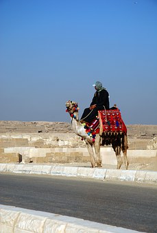 a Day trip to Pyramids from Sokhna Port