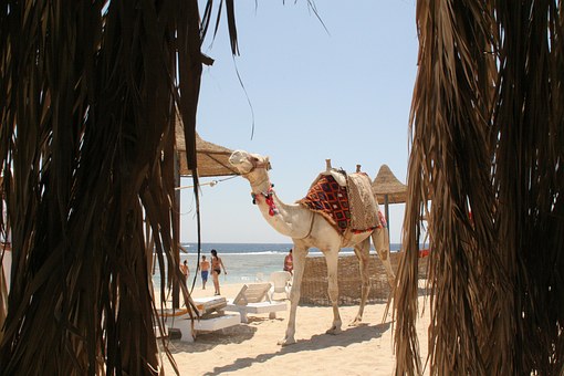 Top Mediterranean Islands For 2011 Holidays - Majorca