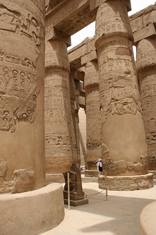 Day Tour Pyramids , Egyptian Museum