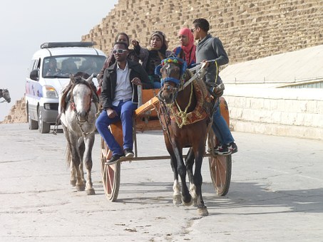 Sharm El Sheikh Egypt Tour package, Package with Nile Cruise, Stay & Petra tours