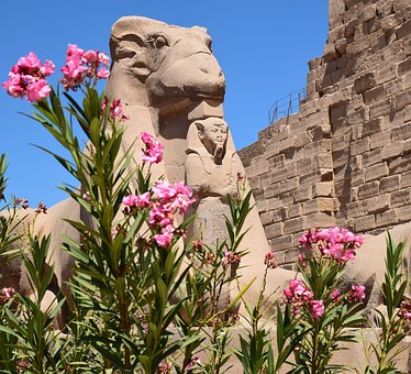 Cairo & Luxor Egypt Tours From Marsa Alam By Flight