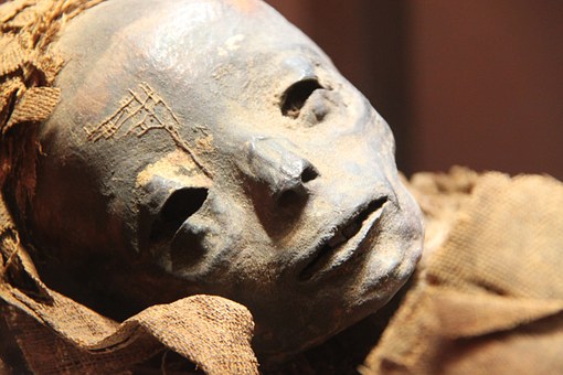 Cairo Day Trip From Sharm El Sheikh By First Class Bus