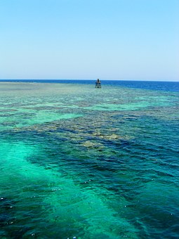 Hurghada Day Tour & Excursions To Giza Pyramids & Egyptian Museum By First Class Bus
