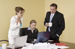 Freelance Job Opportunities