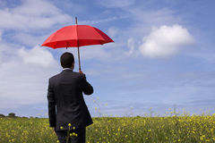 It Job Board Provides Best Opportunities